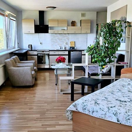 Veziu 10 Apartment Паланга Екстериор снимка