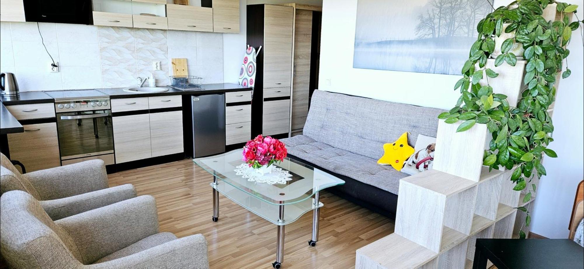 Veziu 10 Apartment Паланга Екстериор снимка